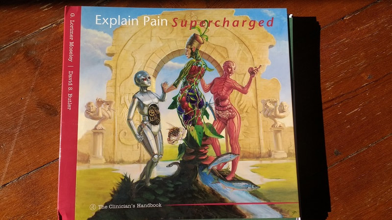 Textbook cover picture of Explain Pain Supercharged by Lorimer Moseley and David Butler