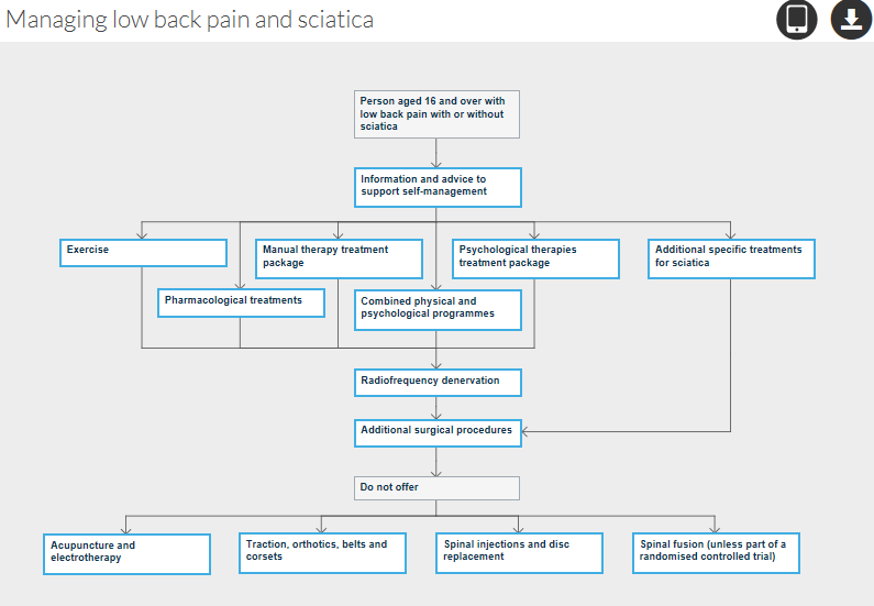 Flow chart related to the NICE guidelines for low back and sciatica 2016 