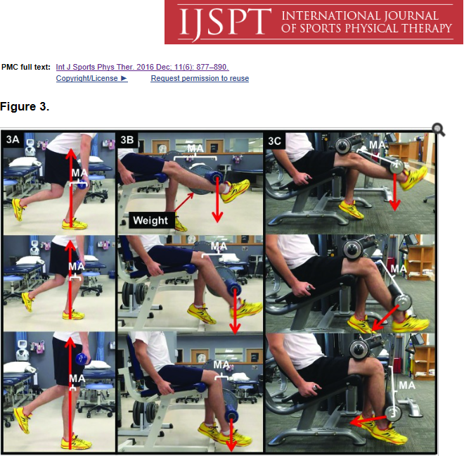International journal of sports physical therapy: picture describing different exercises to perform during quadriceps strenghtening program